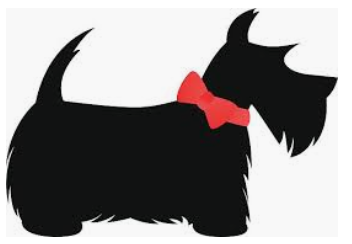 Boundaries every dog-owner should teach : The Szpinner