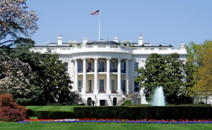 white house