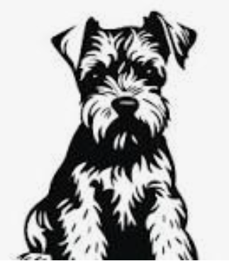 Mico the puppy